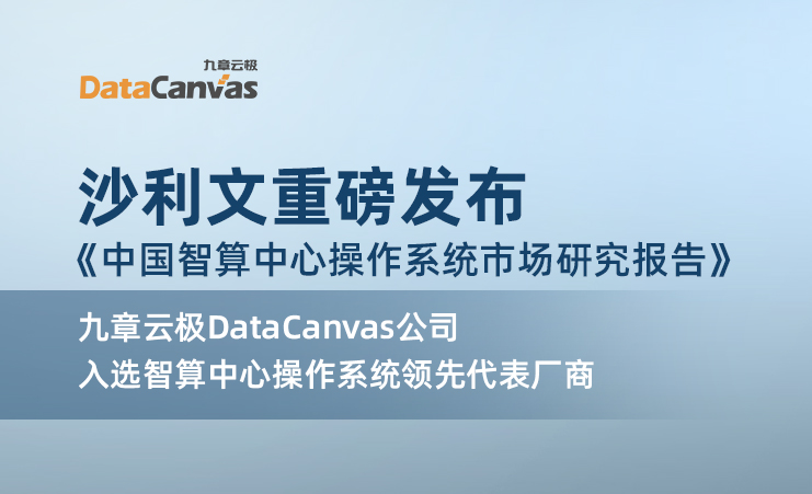 九章云极DataCanvas公司入选沙利文权威报告领先代表厂商