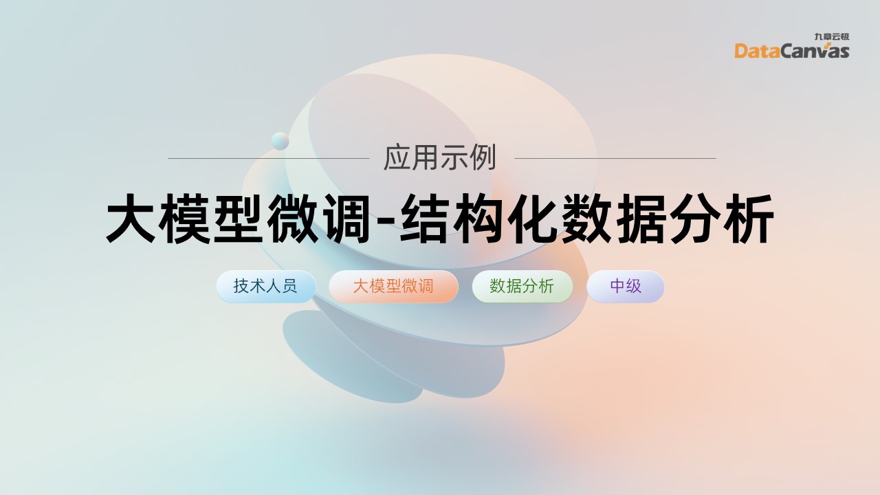 大模型微调-结构化数据分析